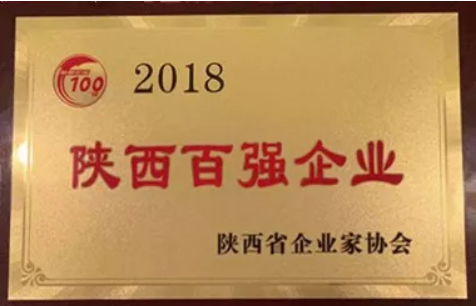 尊龙凯时集团获陕西省2018年百强企业等多项声誉