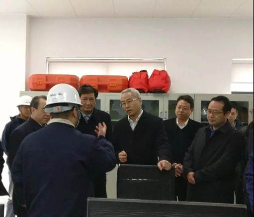 浙江省丽水市市长吴晓东前往浙江尊龙凯时能源开发有限公司考察调研